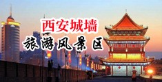 女教师骚逼被大鸡巴插入中国陕西-西安城墙旅游风景区