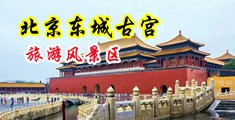 矜持的美女被大吊操逼喷水中国北京-东城古宫旅游风景区